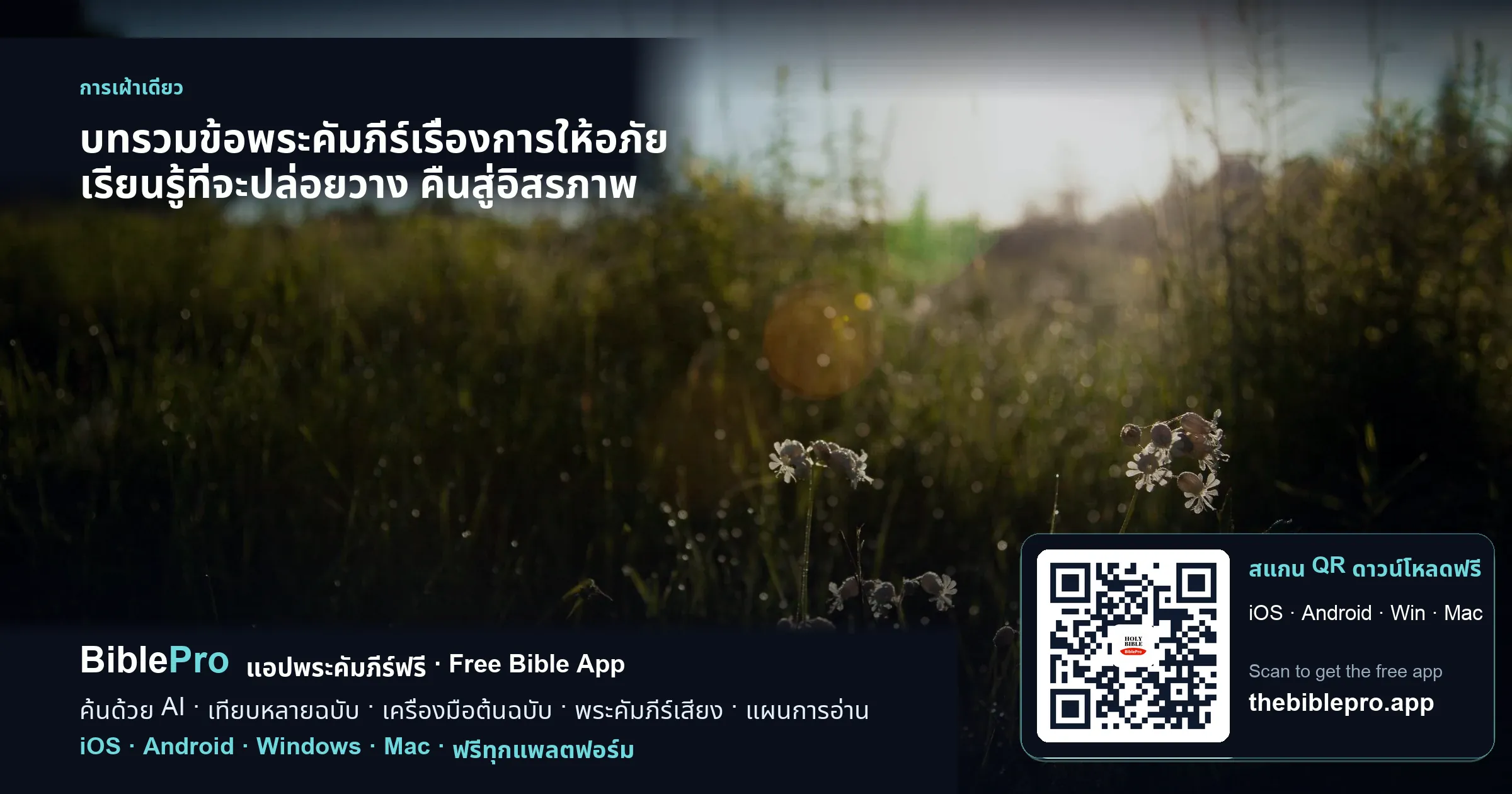 บทรวมข้อพระคัมภีร์เรื่องการให้อภัย เรียนรู้ที่จะปล่อยวาง คืนสู่อิสรภาพ