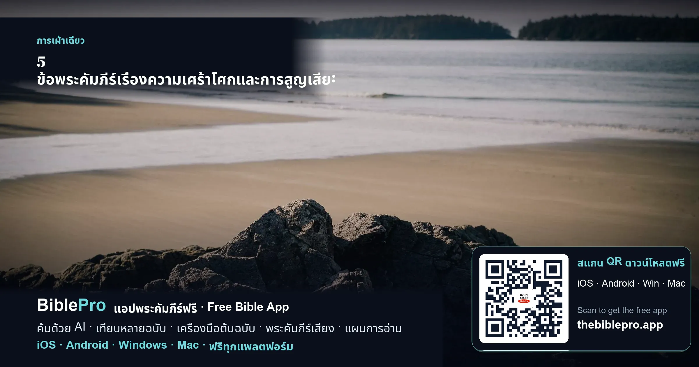 5 ข้อพระคัมภีร์เรื่องความเศร้าโศกและการสูญเสีย: มอบให้แด่ใจที่กำลังเจ็บปวด