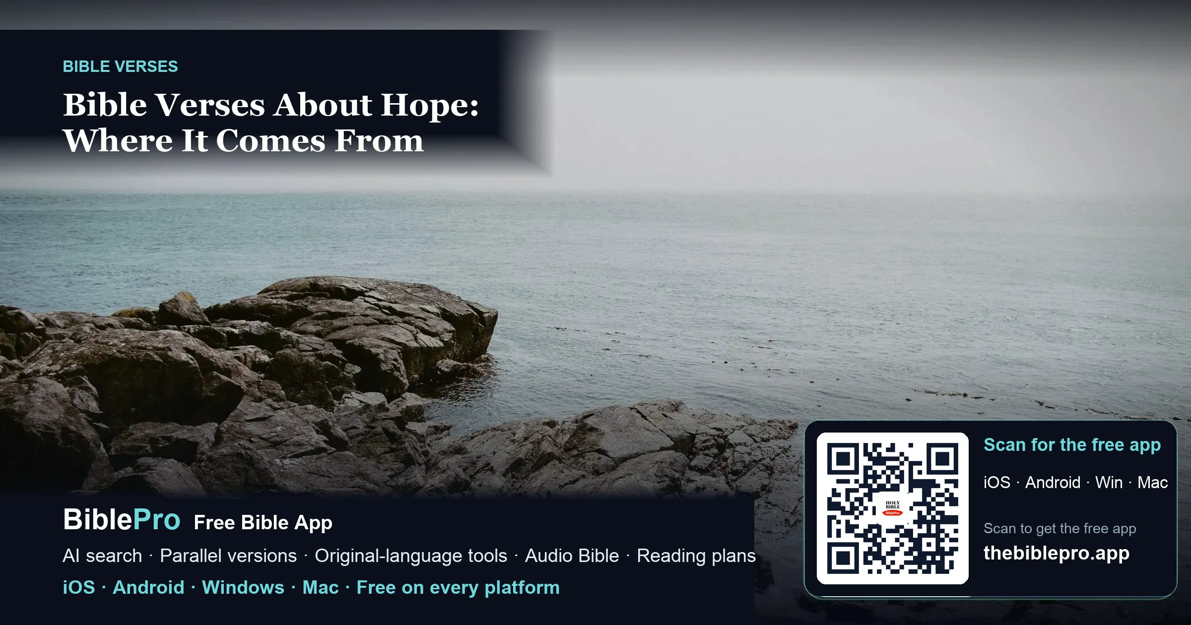 Bible Verses About Hope: Where It Comes From