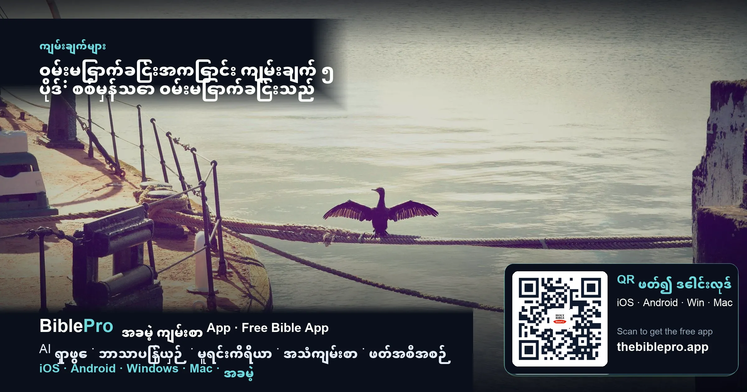 ဝမ်းမြောက်ခြင်းအကြောင်း ကျမ်းချက် ၅ ပိုဒ်: စစ်မှန်သော ဝမ်းမြောက်ခြင်းသည် မည်သည့်နေရာမှ လာသနည်း?
