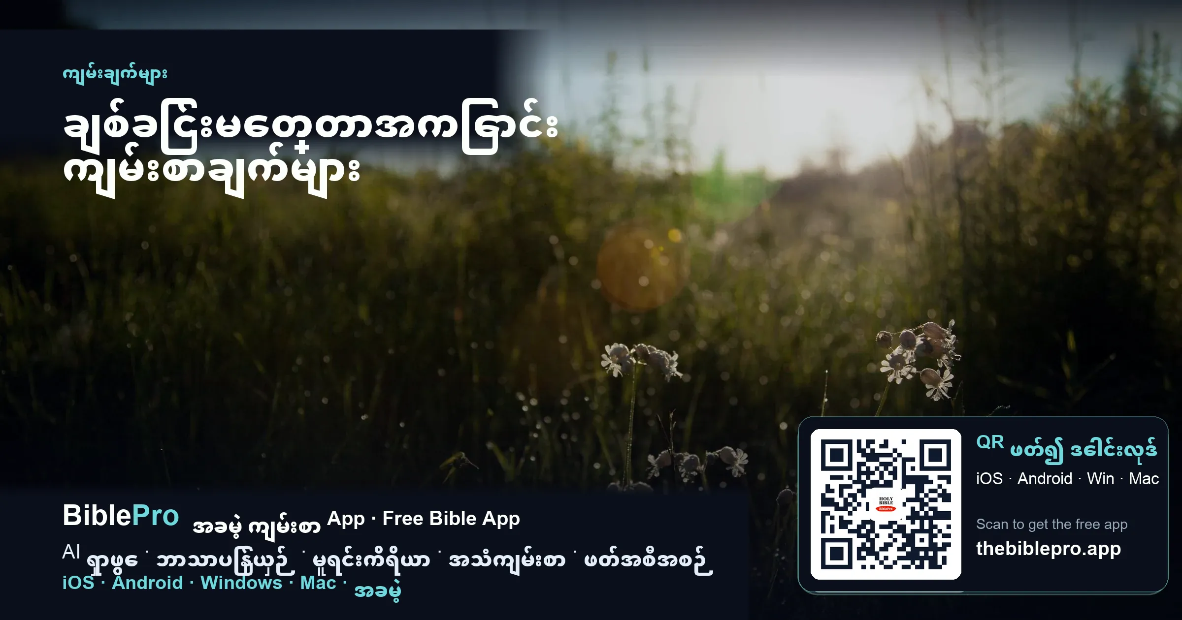 ချစ်ခြင်းမေတ္တာအကြောင်း ကျမ်းစာချက်များ