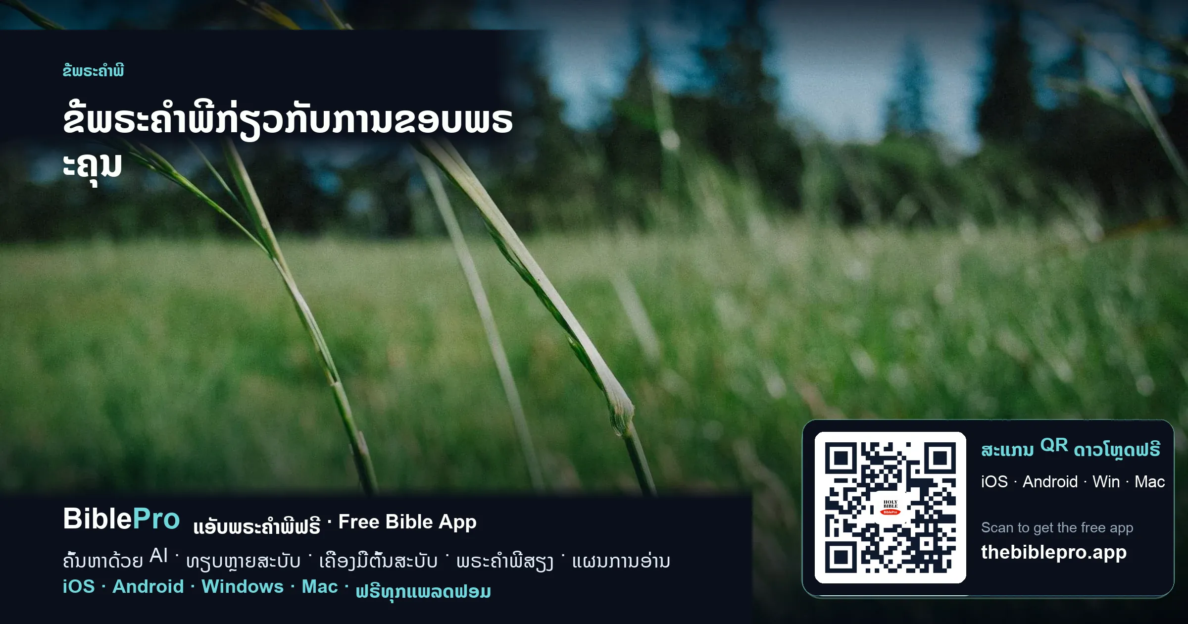 ຂໍ້ພຣະຄຳພີກ່ຽວກັບການຂອບພຣະຄຸນ