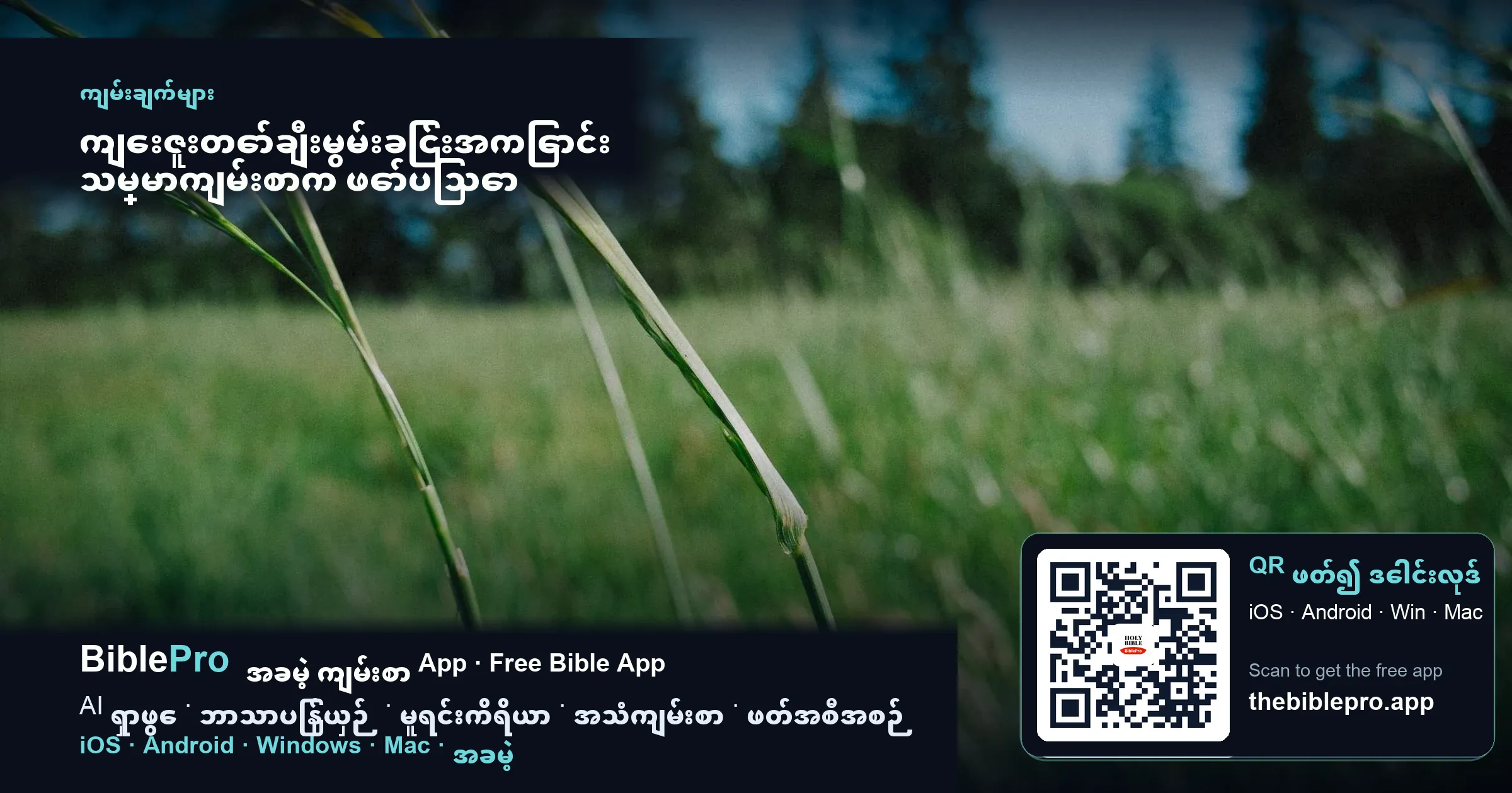 ကျေးဇူးတော်ချီးမွမ်းခြင်းအကြောင်း သမ္မာကျမ်းစာက ဖော်ပြသော ကျမ်းချက်များ