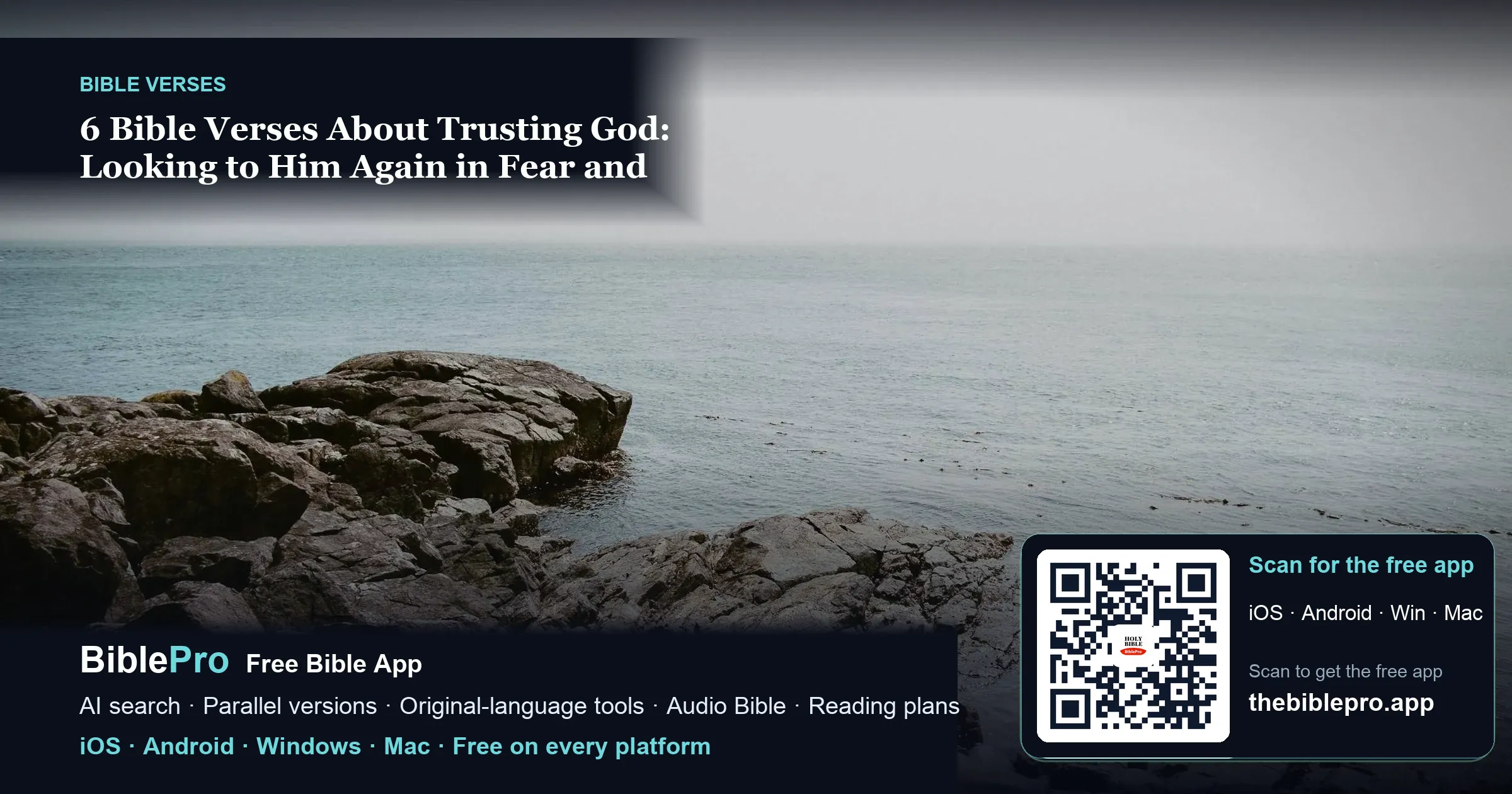 6 Bible Verses About Trusting God: Looking to Him Again in Fear and Worry