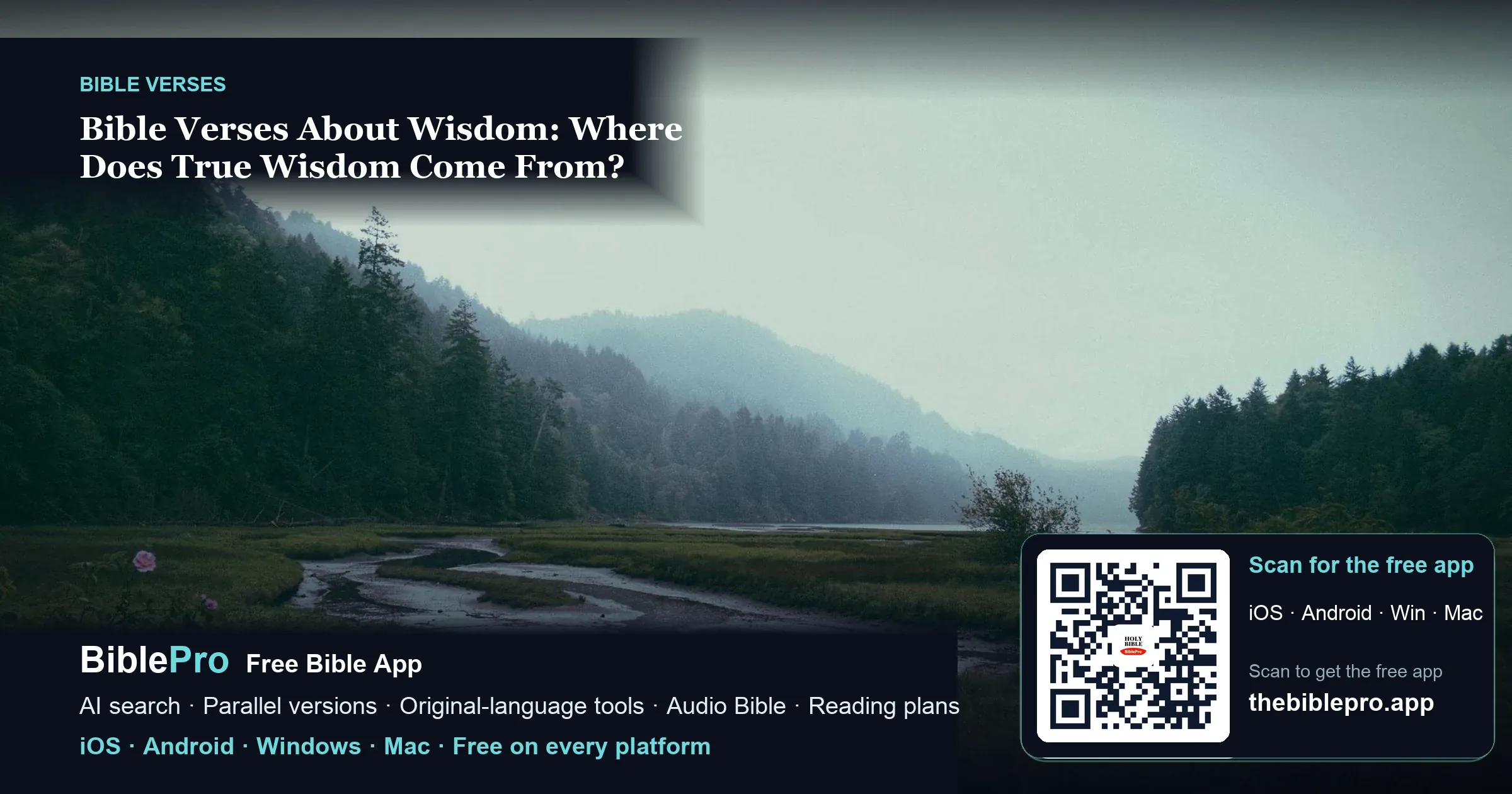 Bible Verses About Wisdom: Where Does True Wisdom Come From?