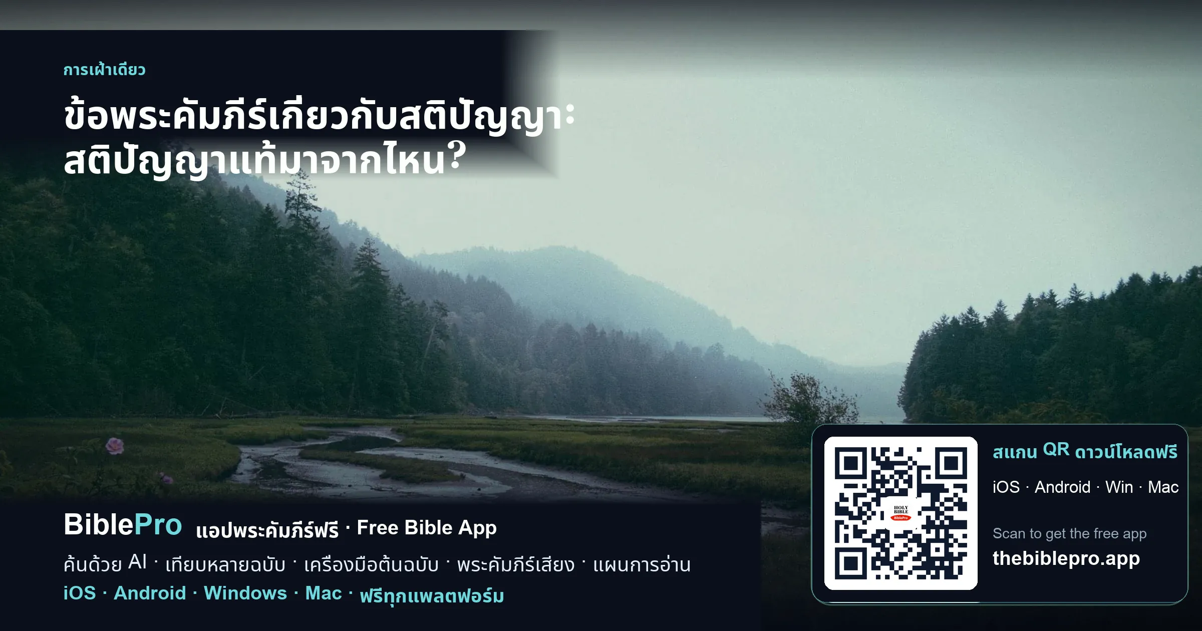 ข้อพระคัมภีร์เกี่ยวกับสติปัญญา: สติปัญญาแท้มาจากไหน?