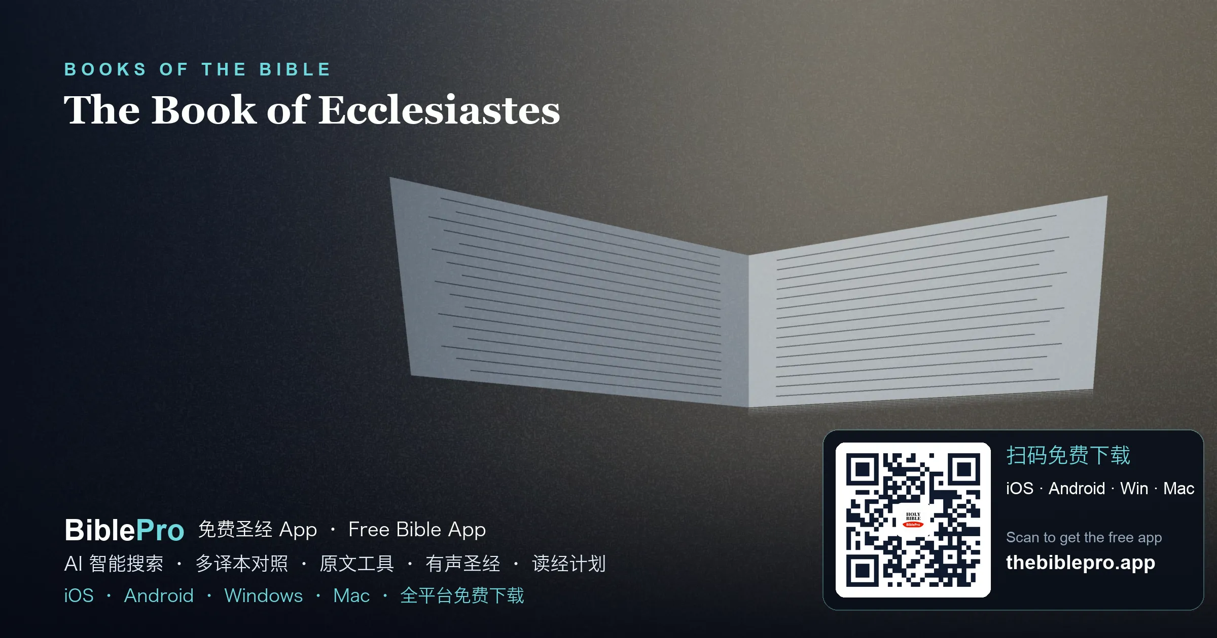 传道书讲什么?「虚空的虚空」到底在说什么