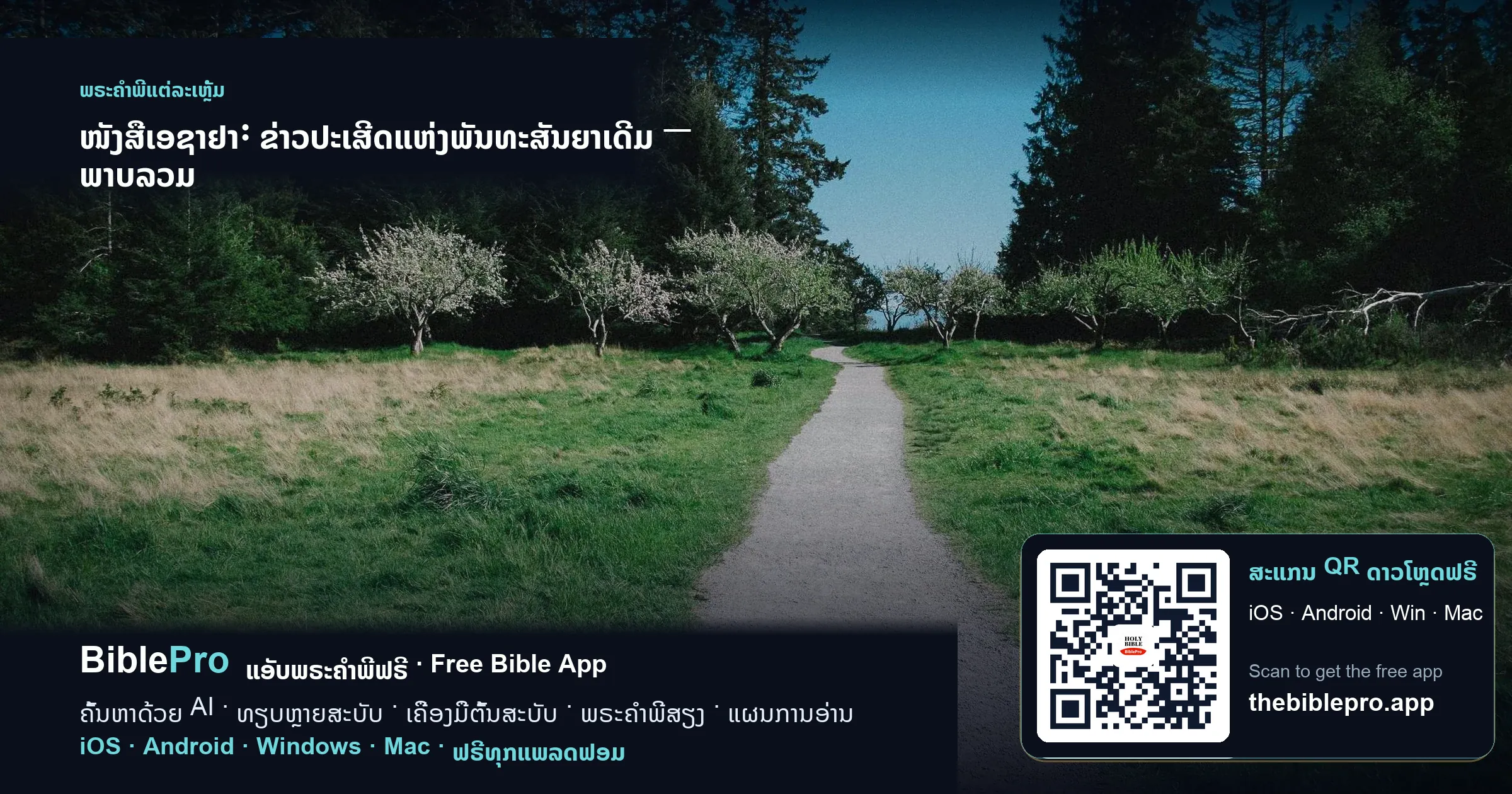 ໜັງສືເອຊາຢາ: ຂ່າວປະເສີດແຫ່ງພັນທະສັນຍາເດີມ — ພາບລວມ