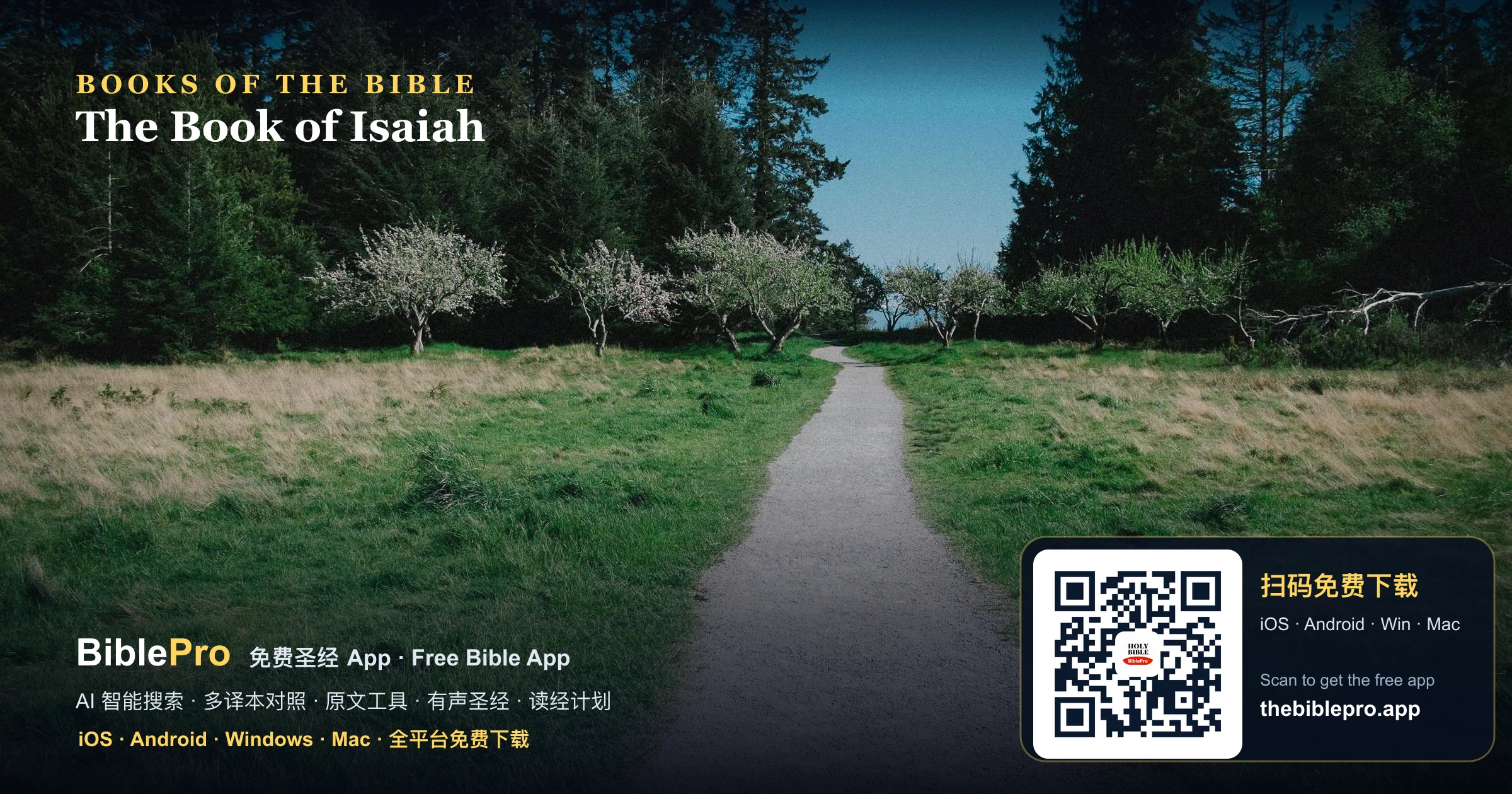 以賽亞書全覽:舊約中的福音,受苦僕人的預言