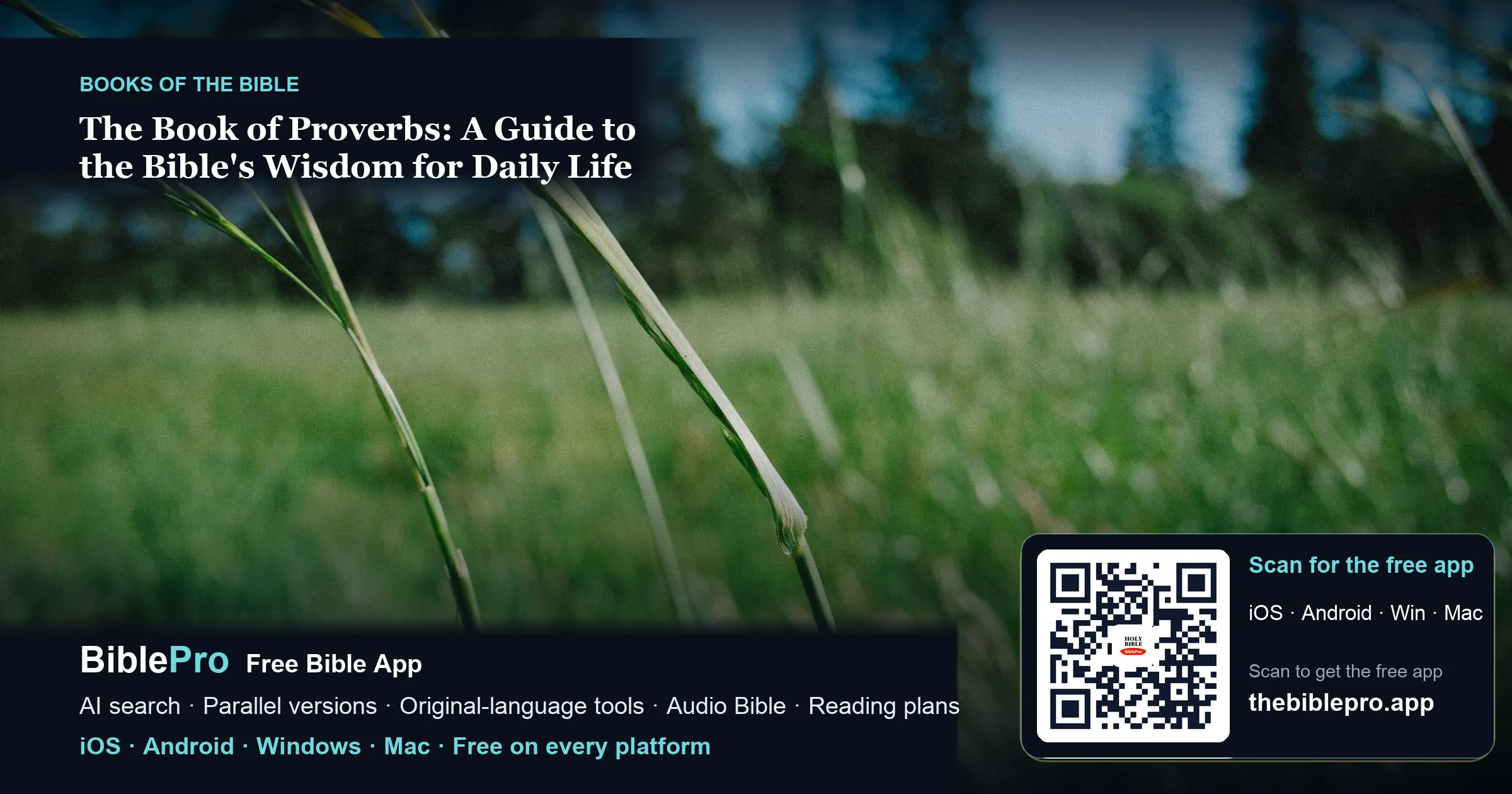 The Book of Proverbs: A Guide to the Bible's Wisdom for Daily Life