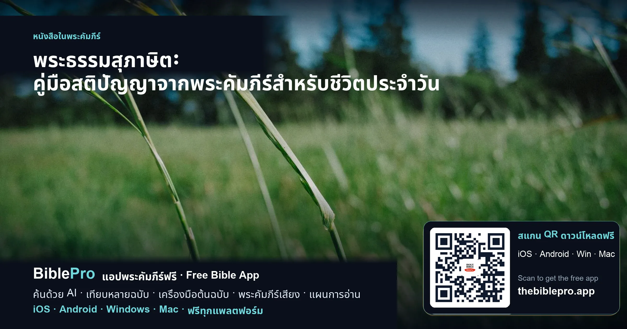 พระธรรมสุภาษิต: คู่มือสติปัญญาจากพระคัมภีร์สำหรับชีวิตประจำวัน