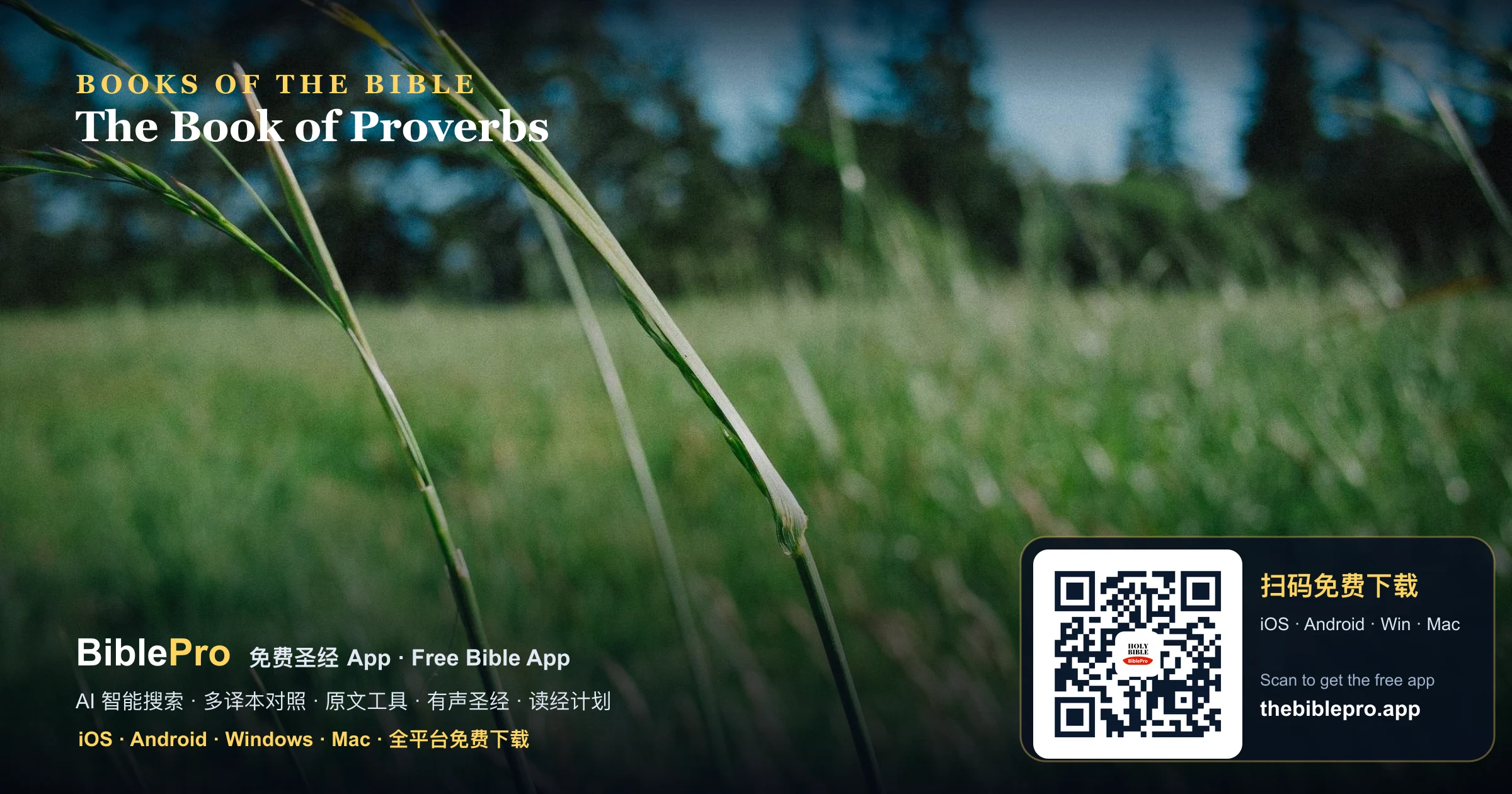 《箴言》導讀:敬畏耶和華是智慧的開端(聖經各卷綜覽)