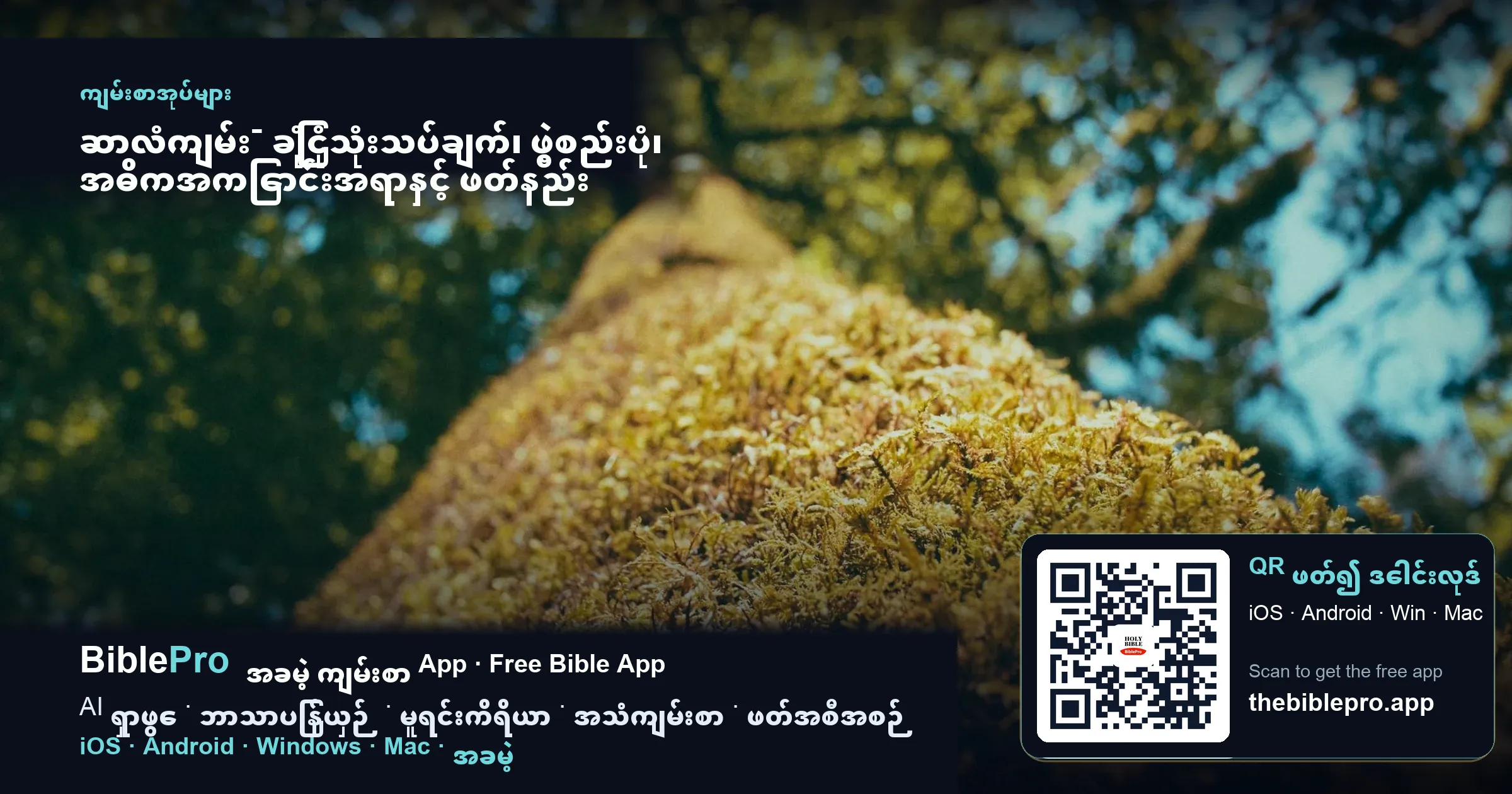ဆာလံကျမ်း- ခြုံငုံသုံးသပ်ချက်၊ ဖွဲ့စည်းပုံ၊ အဓိကအကြောင်းအရာနှင့် ဖတ်နည်း