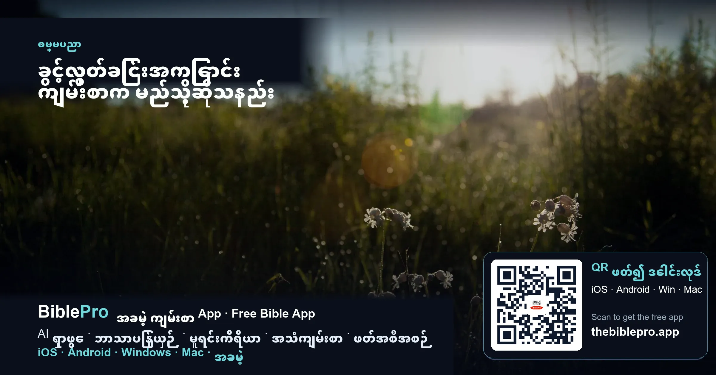 ခွင့်လွှတ်ခြင်းအကြောင်း ကျမ်းစာက မည်သို့ဆိုသနည်း