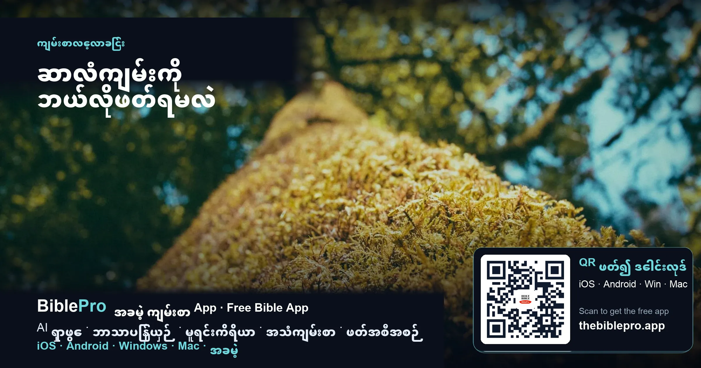 ဆာလံကျမ်းကို ဘယ်လိုဖတ်ရမလဲ