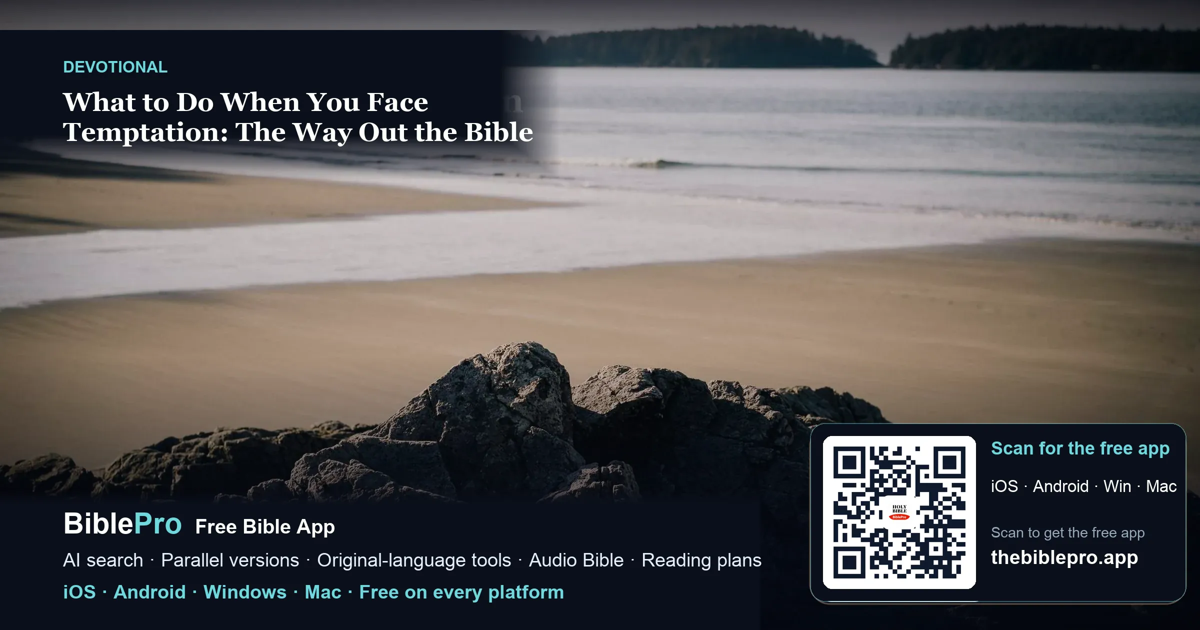 What to Do When You Face Temptation: The Way Out the Bible Gives