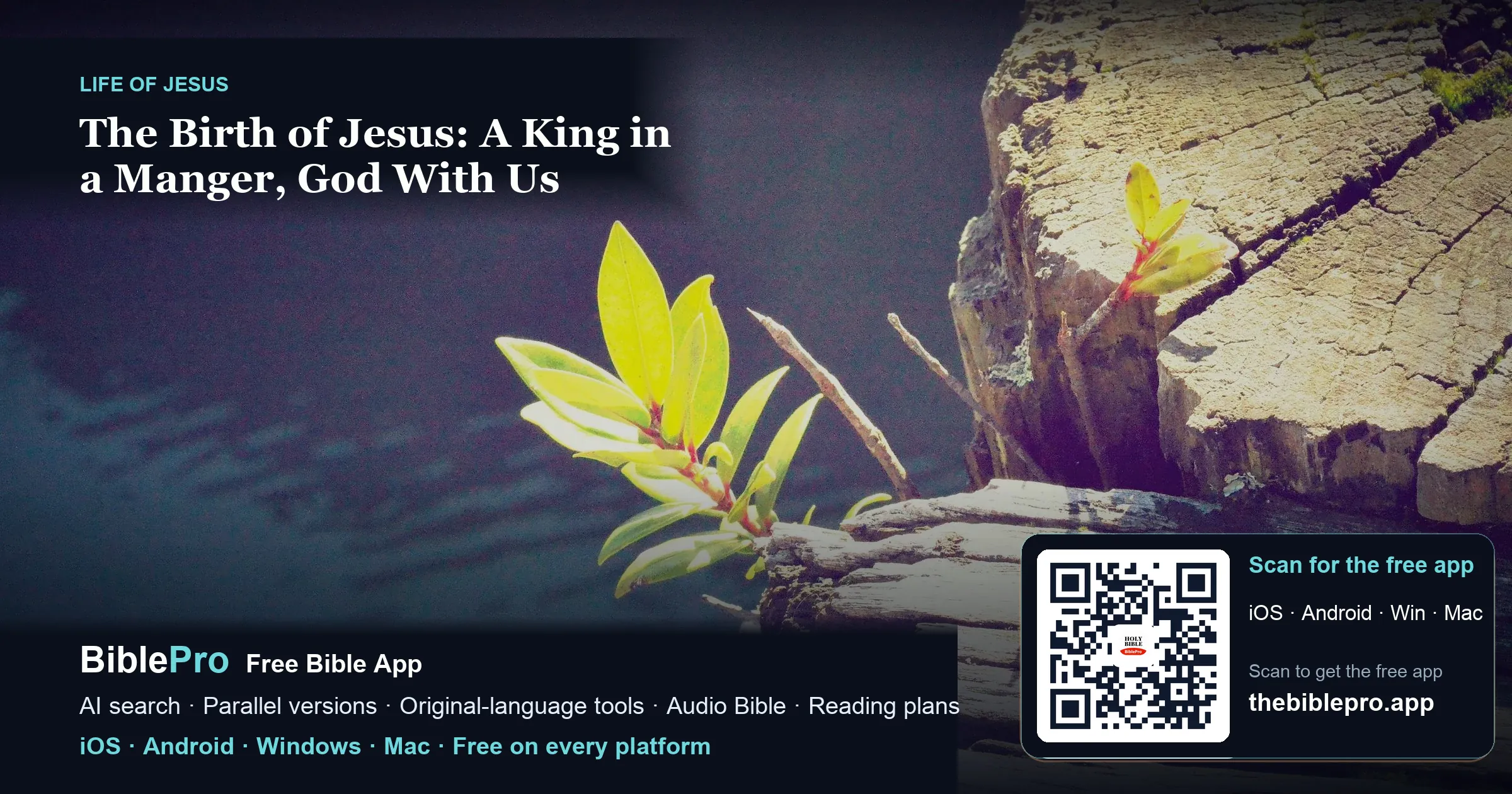 The Birth of Jesus: A King in a Manger, God With Us