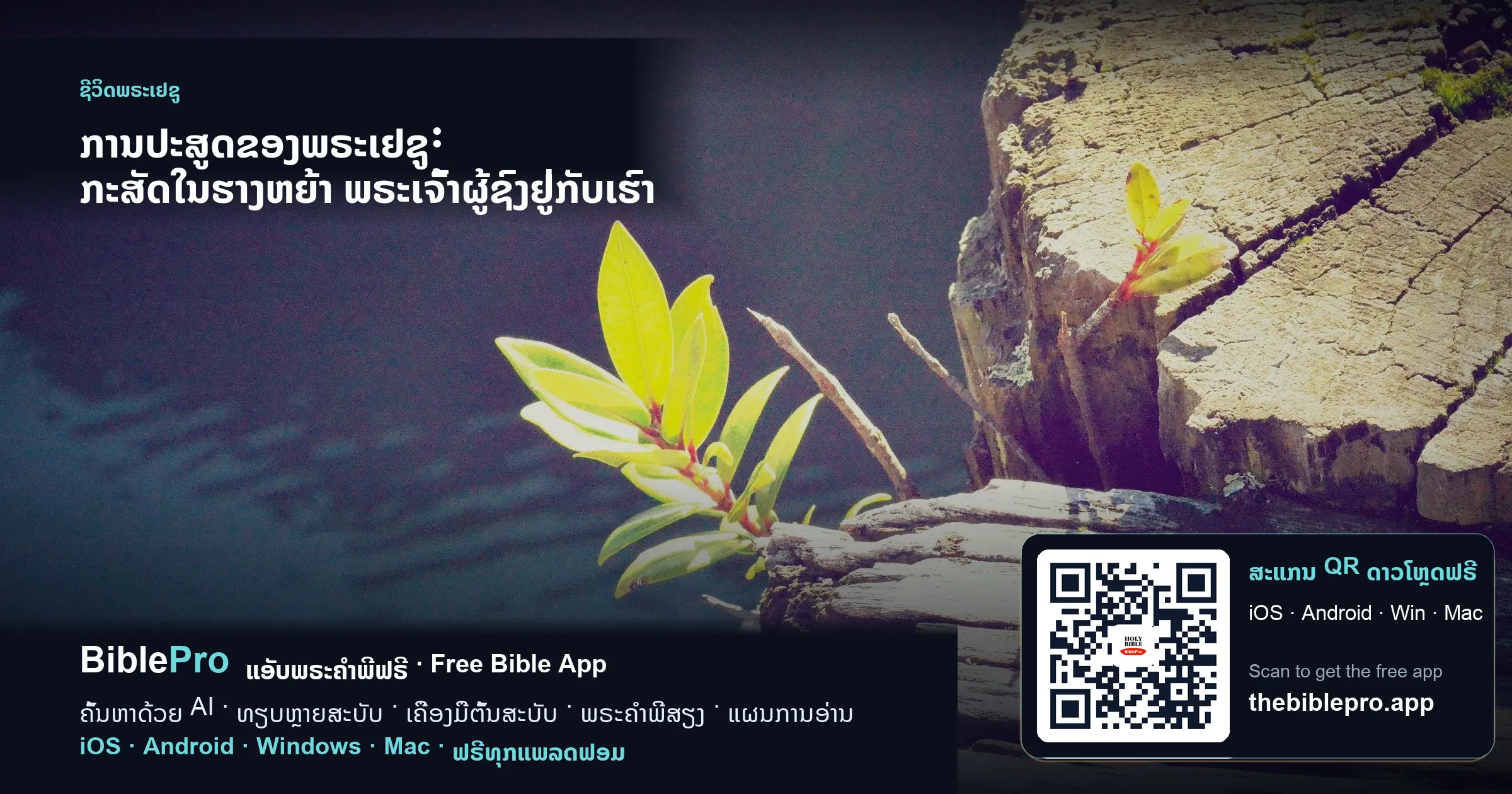 ການປະສູດຂອງພຣະເຢຊູ: ກະສັດໃນຮາງຫຍ້າ ພຣະເຈົ້າຜູ້ຊົງຢູ່ກັບເຮົາ
