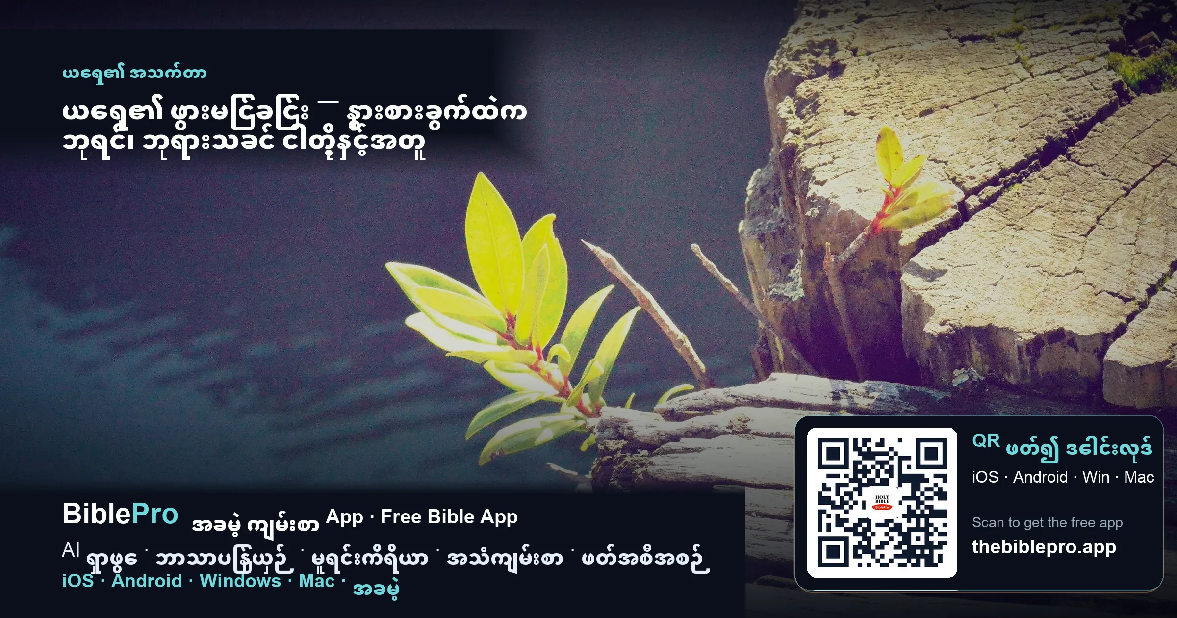 ယေရှု၏ ဖွားမြင်ခြင်း — နွားစားခွက်ထဲက ဘုရင်၊ ဘုရားသခင် ငါတို့နှင့်အတူ