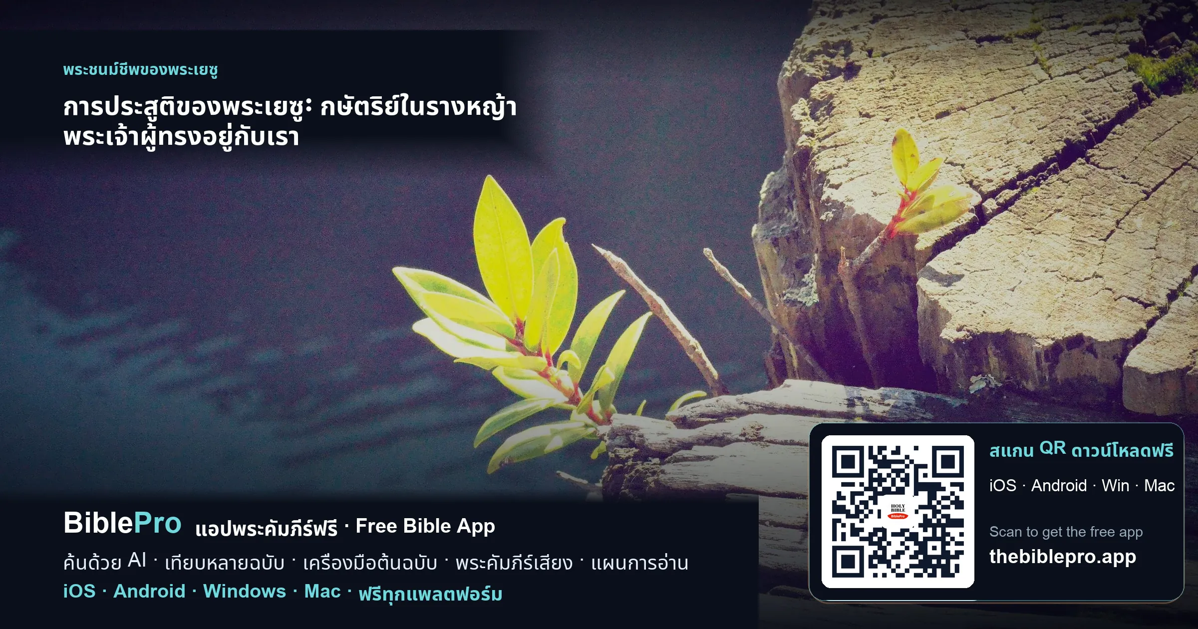 การประสูติของพระเยซู: กษัตริย์ในรางหญ้า พระเจ้าผู้ทรงอยู่กับเรา