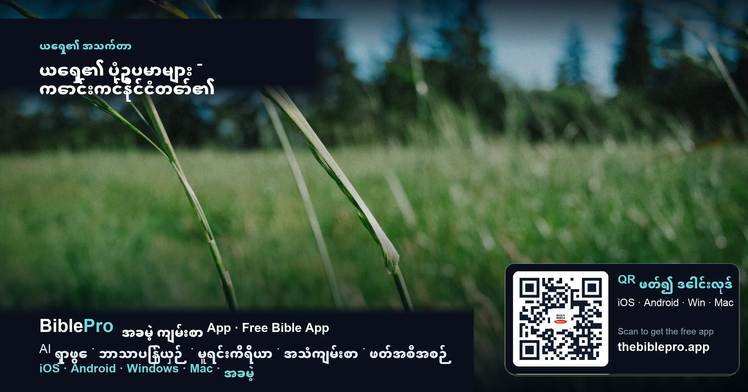 ယေရှု၏ ပုံဥပမာများ - ကောင်းကင်နိုင်ငံတော်၏ နက်နဲသောအရာကို ပုံပြင်ဖြင့် ဟောပြောခြင်း