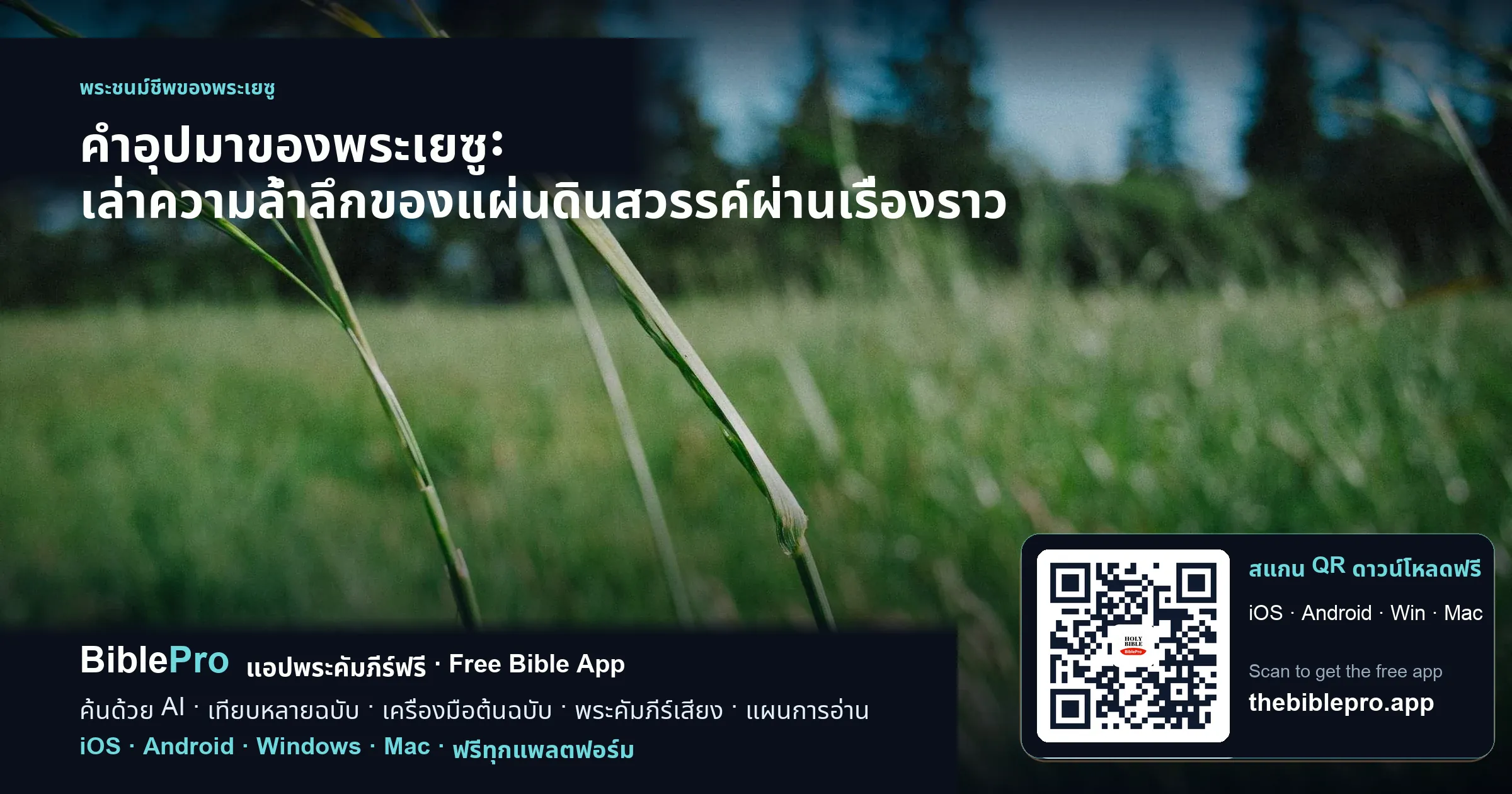 คำอุปมาของพระเยซู: เล่าความล้ำลึกของแผ่นดินสวรรค์ผ่านเรื่องราว