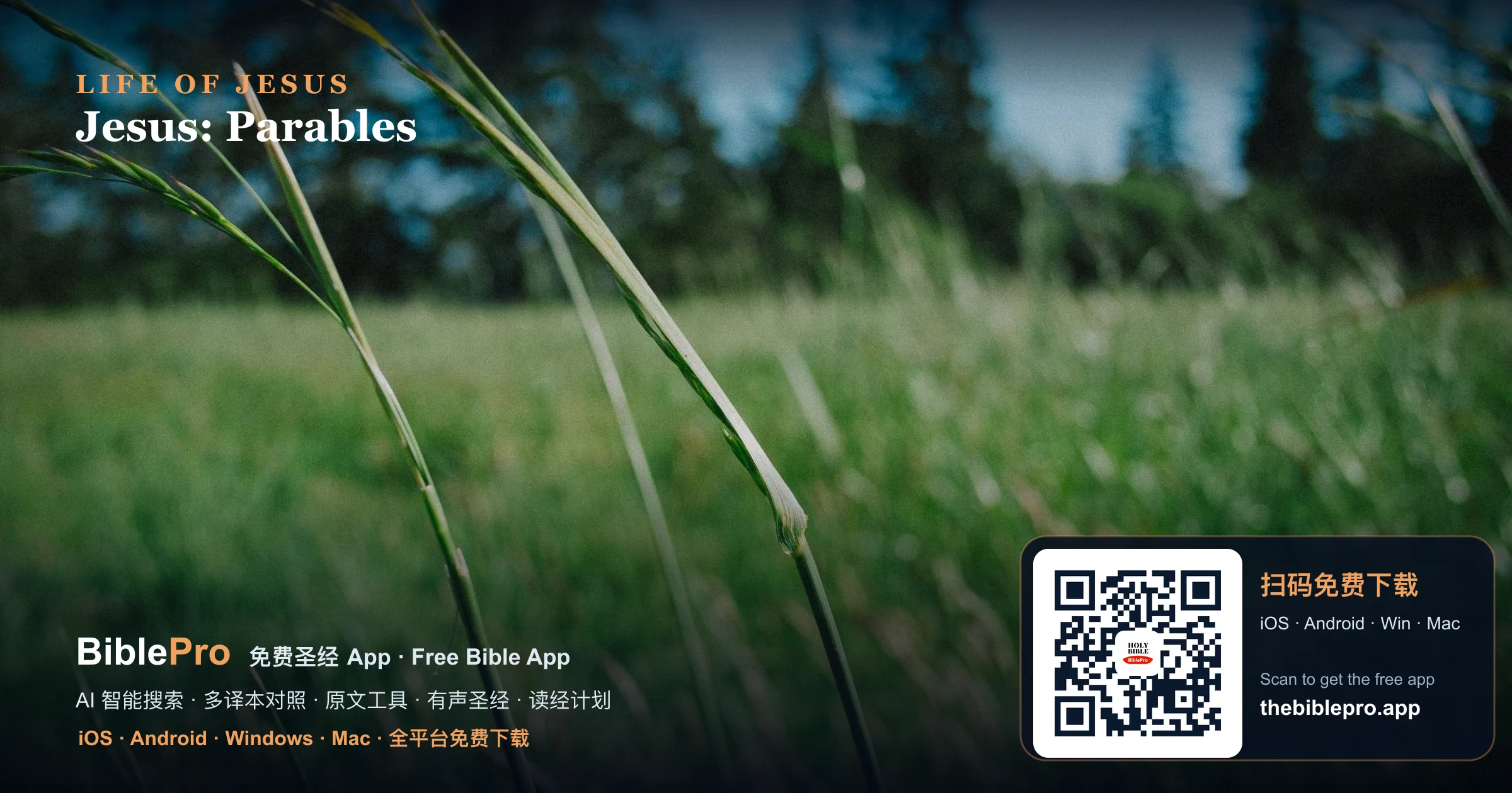耶稣的比喻:用故事讲出天国的奥秘