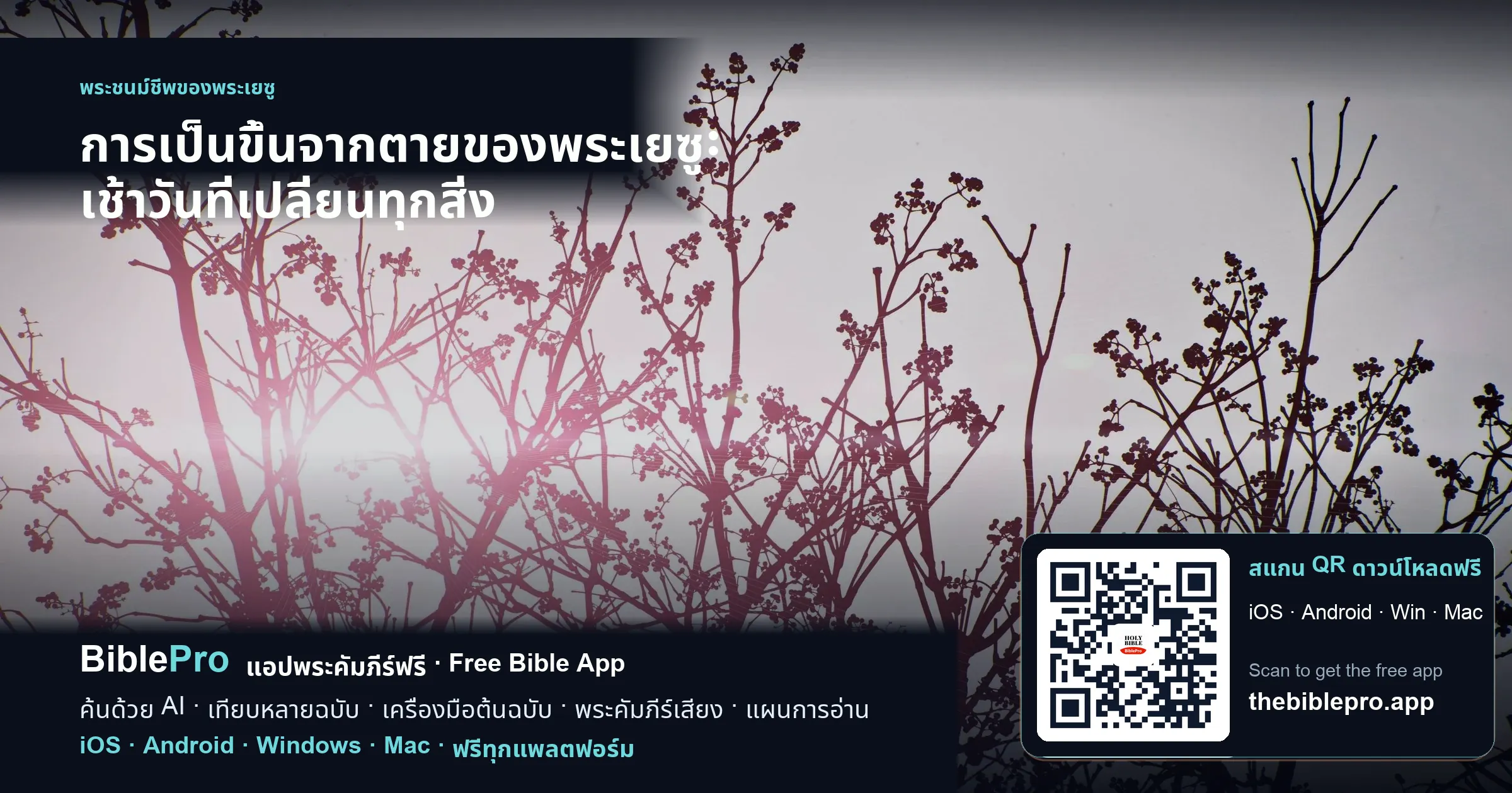 การเป็นขึ้นจากตายของพระเยซู: เช้าวันที่เปลี่ยนทุกสิ่ง