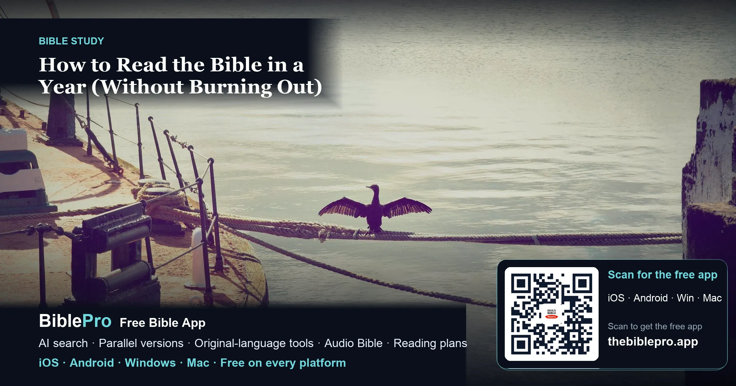 How to Read the Bible in a Year (Without Burning Out)