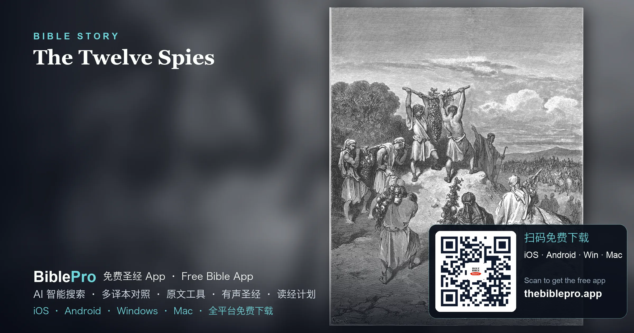 十二探子的抉擇:信心還是懼怕(民數記13-14)