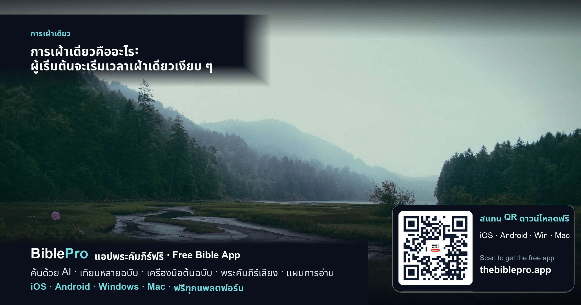 การเฝ้าเดี่ยวคืออะไร: ผู้เริ่มต้นจะเริ่มเวลาเฝ้าเดี่ยวเงียบ ๆ ทุกวันได้อย่างไร