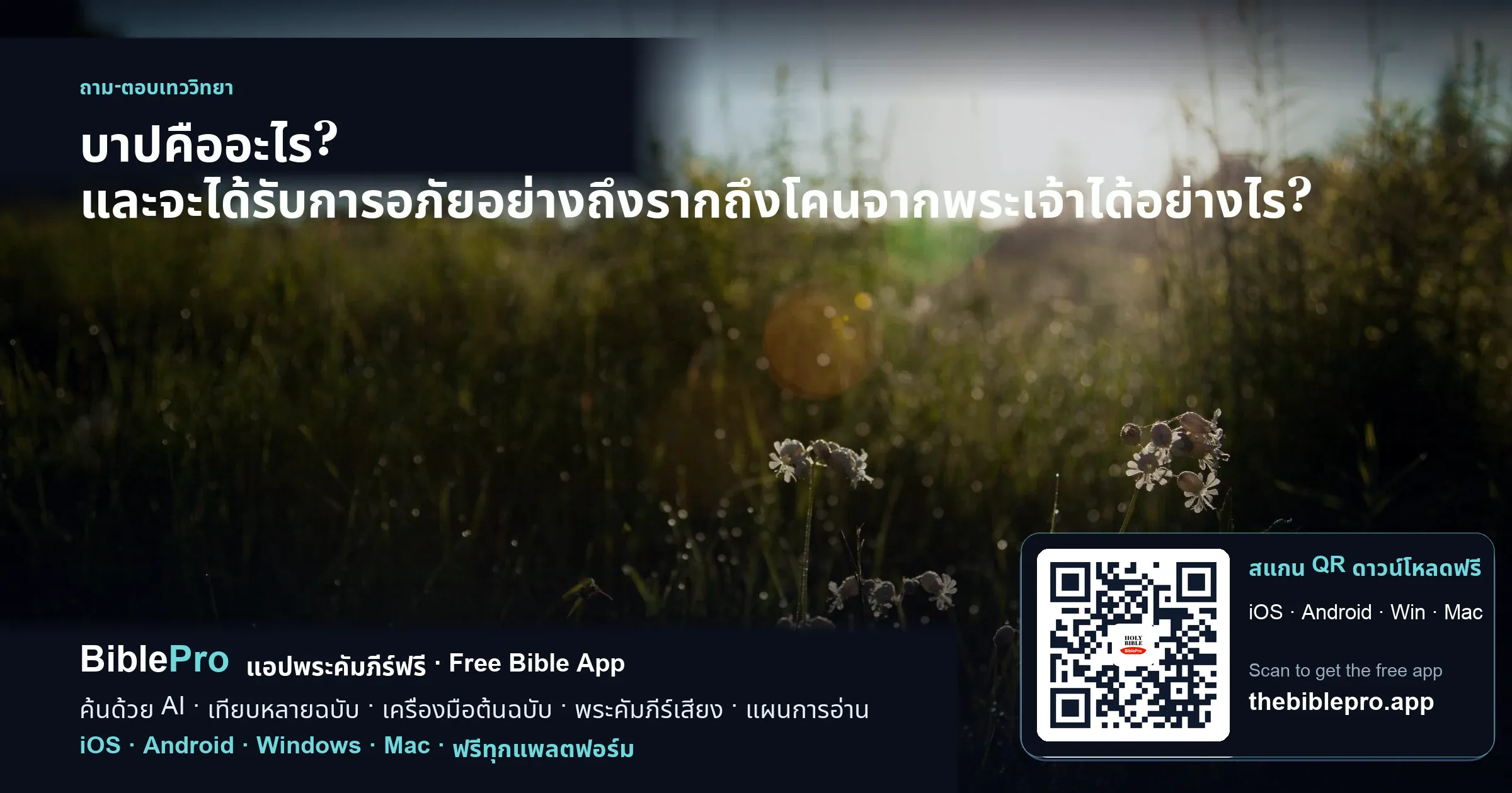 บาปคืออะไร? และจะได้รับการอภัยอย่างถึงรากถึงโคนจากพระเจ้าได้อย่างไร?