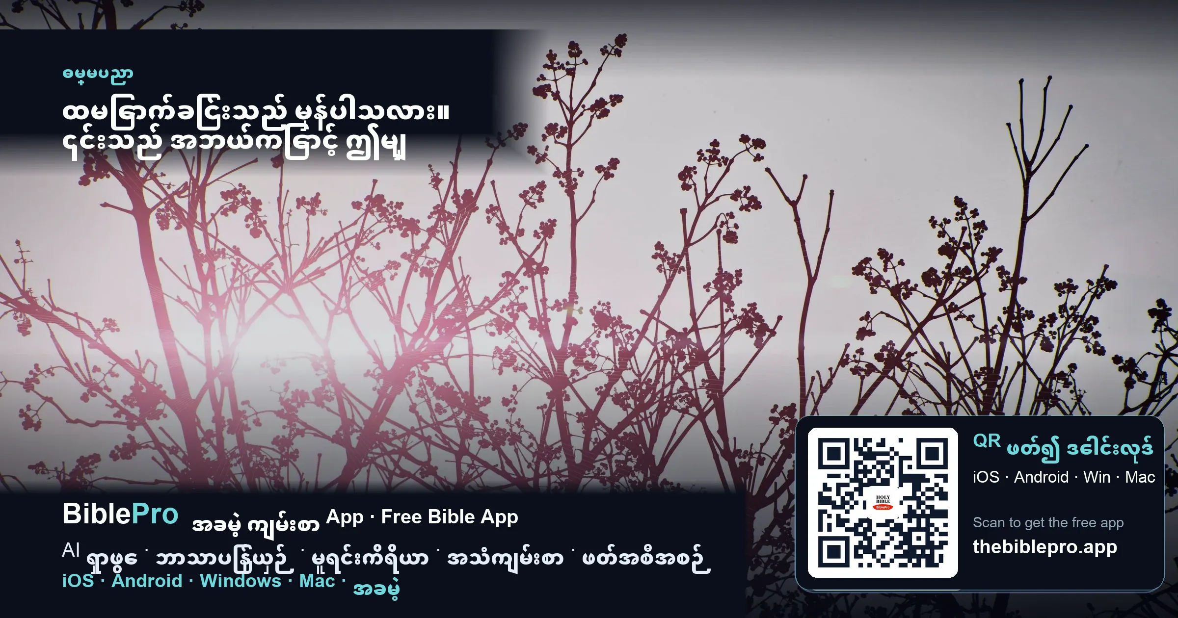 ထမြောက်ခြင်းသည် မှန်ပါသလား။ ၎င်းသည် အဘယ်ကြောင့် ဤမျှ အရေးကြီးသနည်း