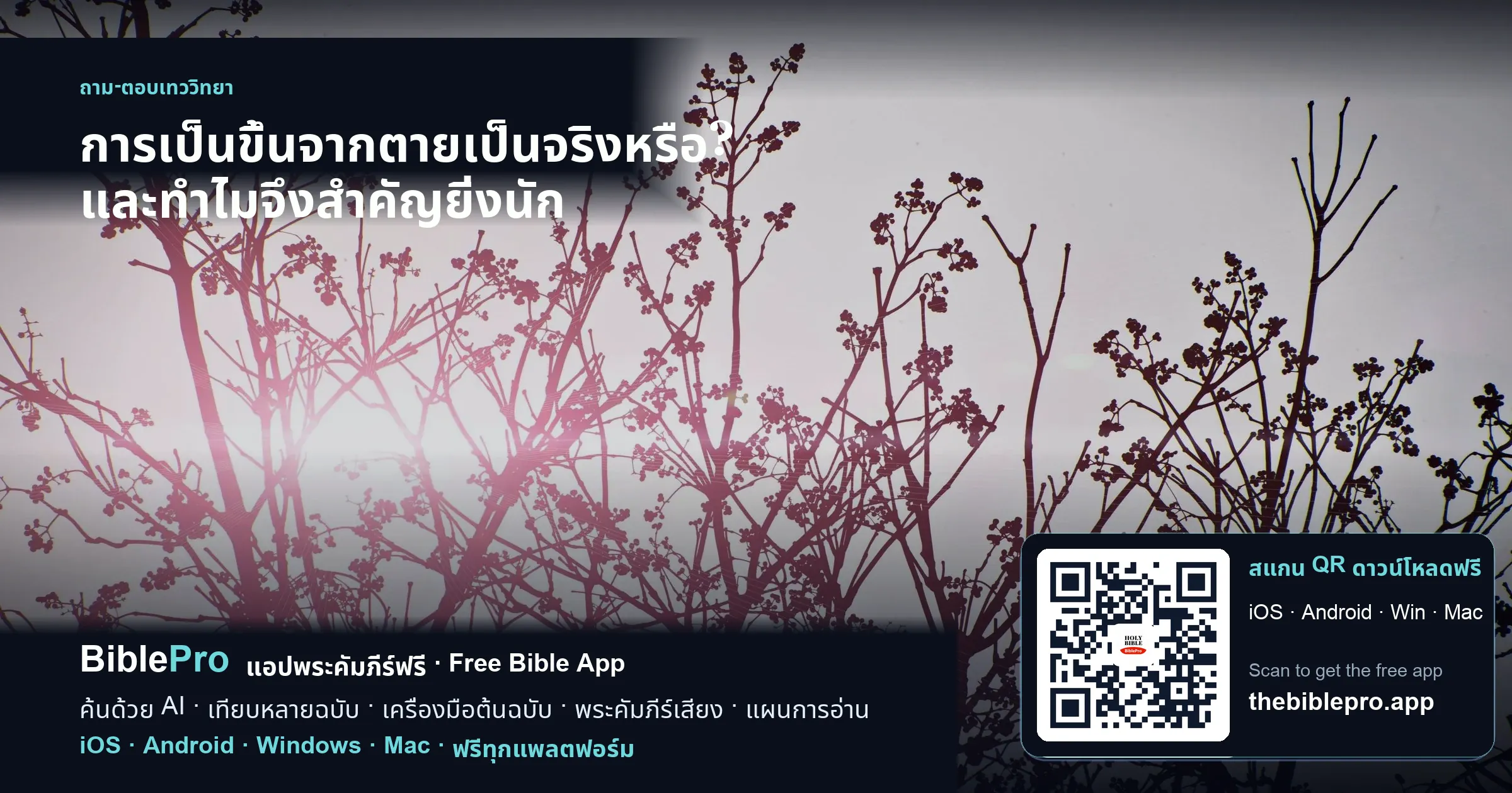การเป็นขึ้นจากตายเป็นจริงหรือ? และทำไมจึงสำคัญยิ่งนัก