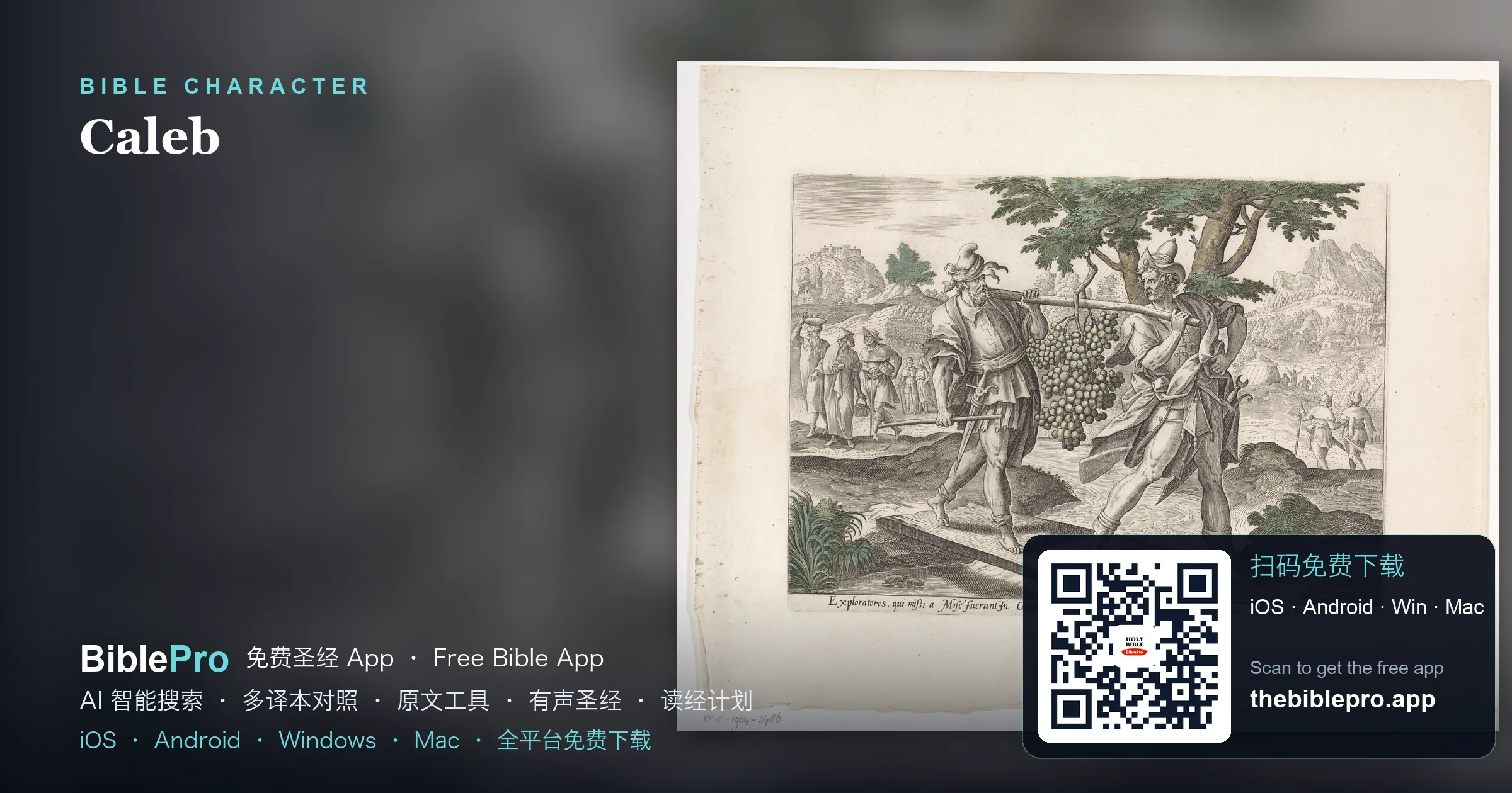 迦勒：专心跟从耶和华的勇士