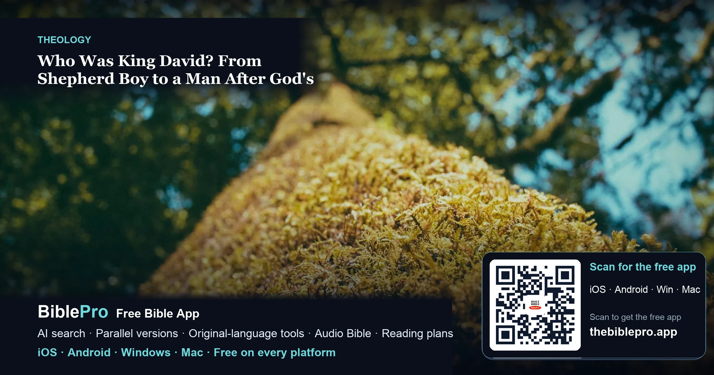 Who Was King David? From Shepherd Boy to a Man After God's Heart