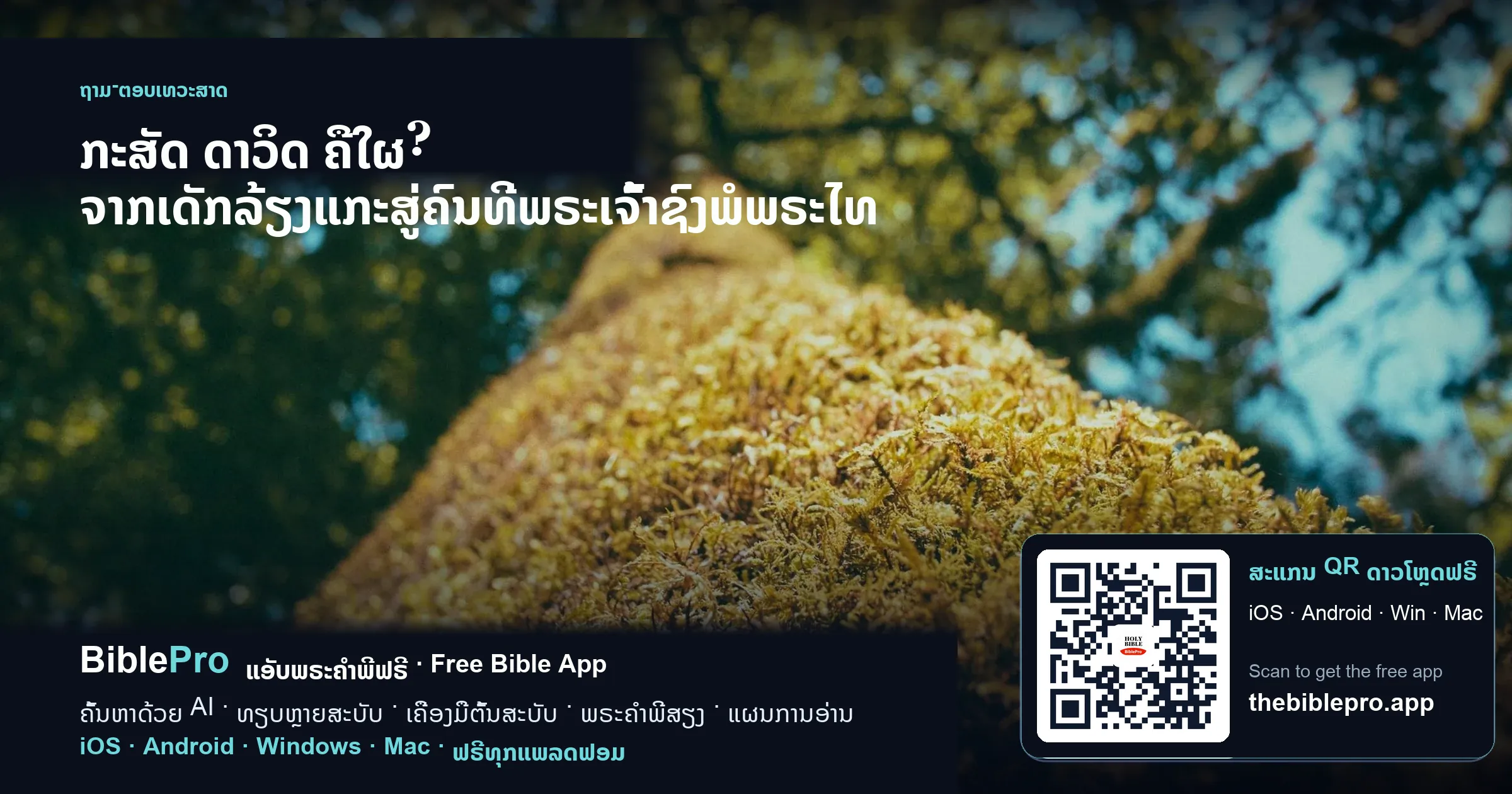 ກະສັດ ດາວິດ ຄືໃຜ? ຈາກເດັກລ້ຽງແກະສູ່ຄົນທີ່ພຣະເຈົ້າຊົງພໍພຣະໄທ