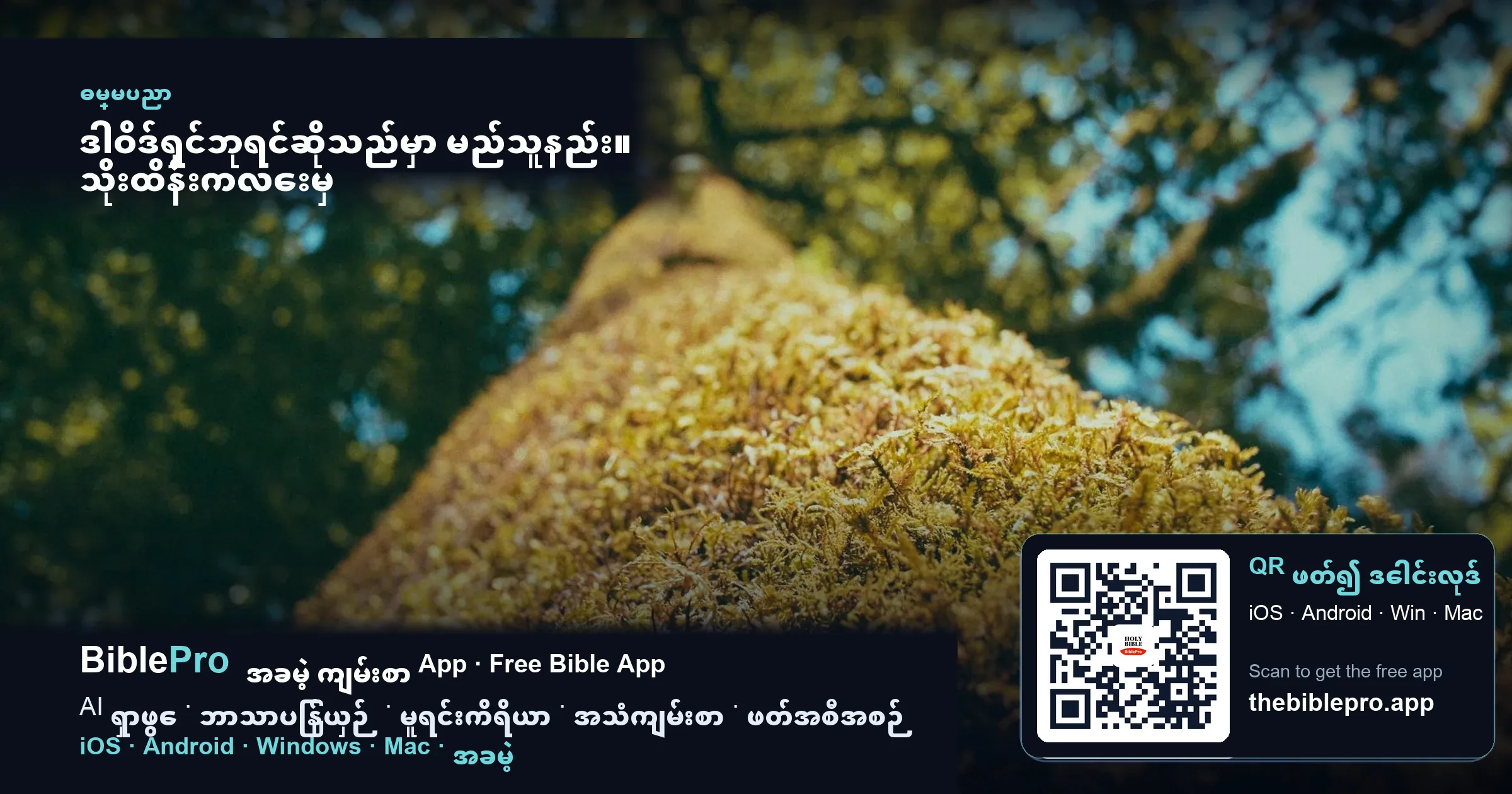 ဒါဝိဒ်ရှင်ဘုရင်ဆိုသည်မှာ မည်သူနည်း။ သိုးထိန်းကလေးမှ ဘုရားစိတ်နှင့်တွေ့သောသူအထိ