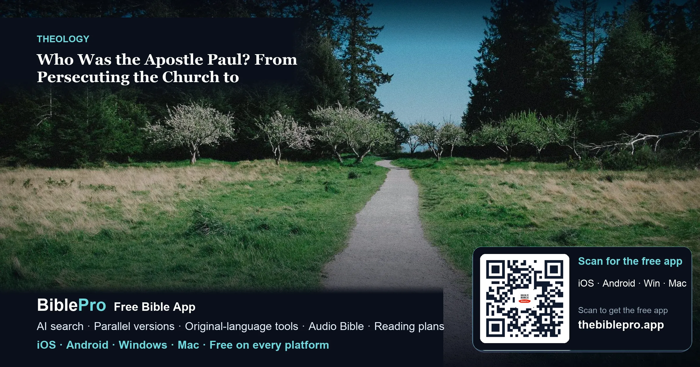 Who Was the Apostle Paul? From Persecuting the Church to Proclaiming the Gospel