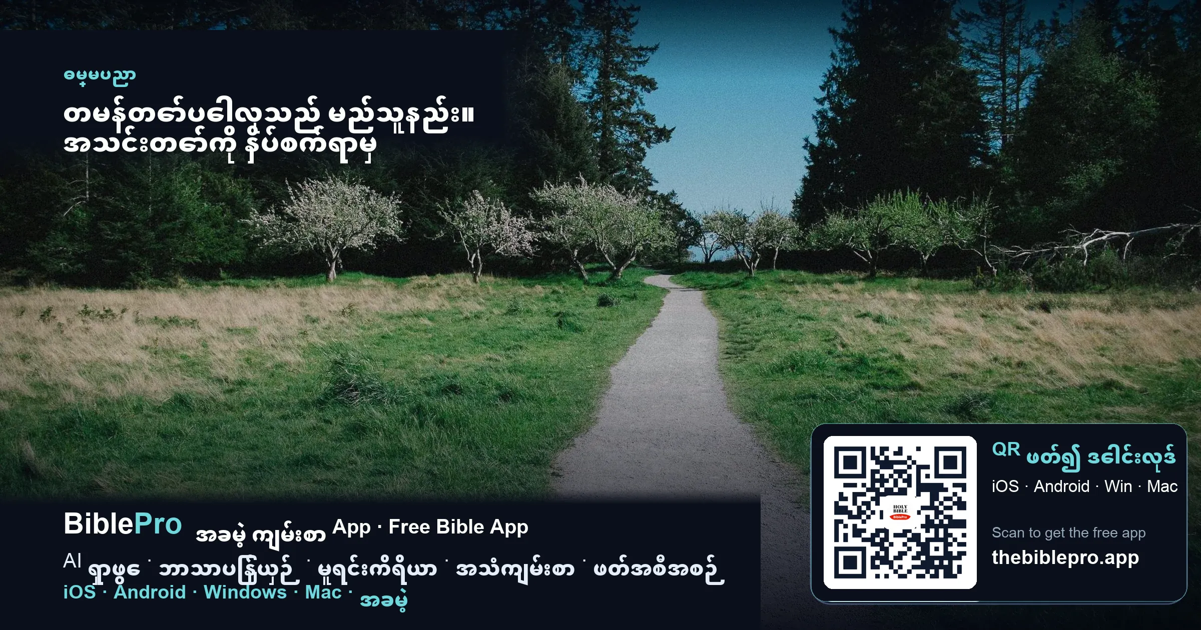 တမန်တော်ပေါလုသည် မည်သူနည်း။ အသင်းတော်ကို နှိပ်စက်ရာမှ ဧဝံဂေလိတရား ဟောပြောသူအဖြစ်သို့